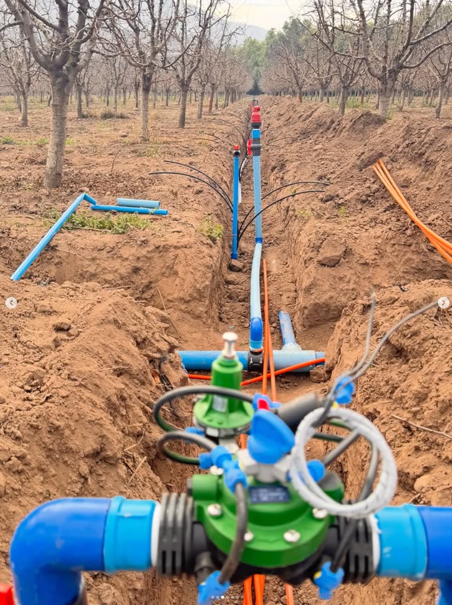Trabajo en terreno de Singular Agro